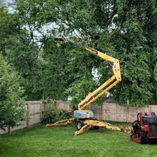 Trusted Charlotte, TN Tree Services Experts